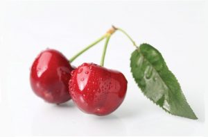 višnja - sour cherry in serbian