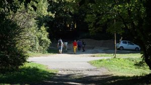 Kratka šetnja kroz šumu - Letnja škola srpskog jezika Serbonika
